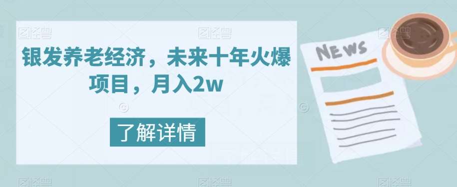 银发养老经济，未来十年火爆项目，月入2w【揭秘】网赚项目-副业赚钱-互联网创业-独家轻创IP星泽云创