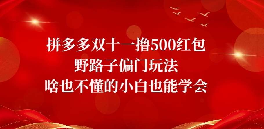 拼多多双十一撸500红包野路子偏门玩法，啥也不懂的小白也能学会【揭秘】网赚项目-副业赚钱-互联网创业-独家轻创IP星泽云创