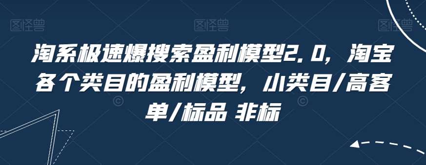 淘系极速爆搜索盈利模型2.0，淘宝各个类目的盈利模型，小类目/高客单/标品 非标网赚项目-副业赚钱-互联网创业-独家轻创IP星泽云创