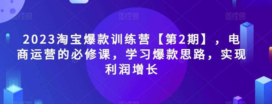 2023淘宝爆款训练营【第2期】，电商运营的必修课，学习爆款思路，实现利润增长网赚项目-副业赚钱-互联网创业-独家轻创IP星泽云创