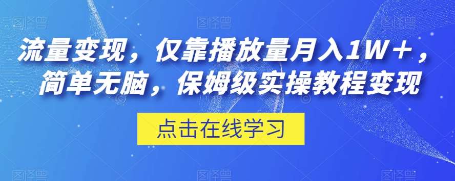 流量变现，仅靠播放量月入1W＋，简单无脑，保姆级实操教程【揭秘】网赚项目-副业赚钱-互联网创业-独家轻创IP星泽云创