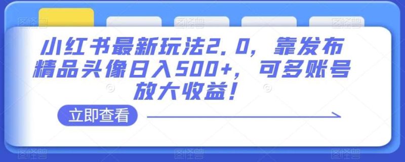 小红书最新玩法2.0，靠发布精品头像日入500+，可多账号放大收益！【揭秘】网赚项目-副业赚钱-互联网创业-独家轻创IP星泽云创