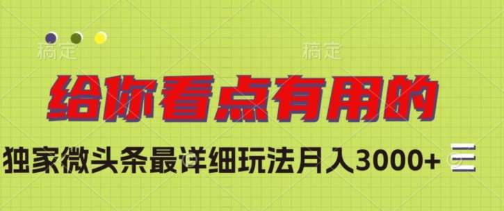 独家微头条最详细玩法，月入3000+【揭秘】网赚项目-副业赚钱-互联网创业-独家轻创IP星泽云创