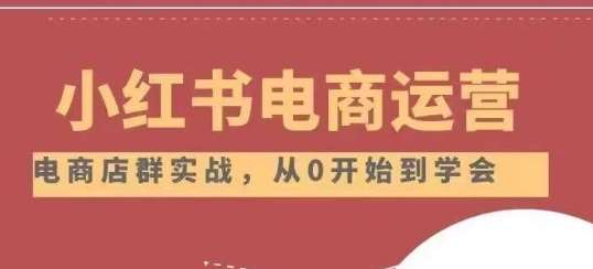 小红书店铺运营从小白到大神2.0，从入门到精通网赚项目-副业赚钱-互联网创业-独家轻创IP星泽云创