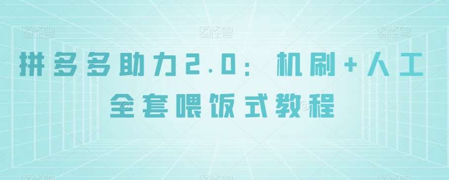 拼多多助力2.0：机刷+人工全套喂饭式教程【揭秘】网赚项目-副业赚钱-互联网创业-独家轻创IP星泽云创