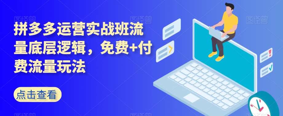 拼多多运营实战班流量底层逻辑，免费+付费流量玩法网赚项目-副业赚钱-互联网创业-独家轻创IP星泽云创