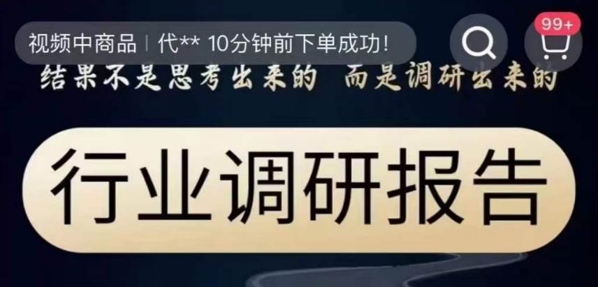 行业调研报告，结果不是思考出来的而是调研出来的网赚项目-副业赚钱-互联网创业-独家轻创IP星泽云创