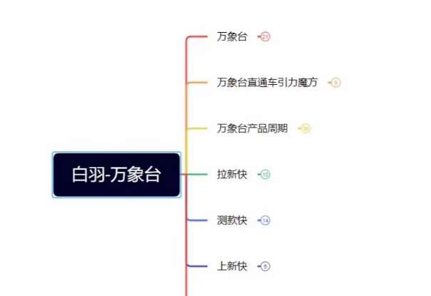 白羽·直引万搜索全篇，从0-1，多个类目实操经验总结付费网赚项目-副业赚钱-互联网创业-独家轻创IP星泽云创