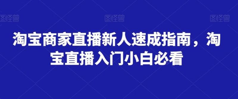 淘宝商家直播新人速成指南，淘宝直播入门小白必看网赚项目-副业赚钱-互联网创业-独家轻创IP星泽云创