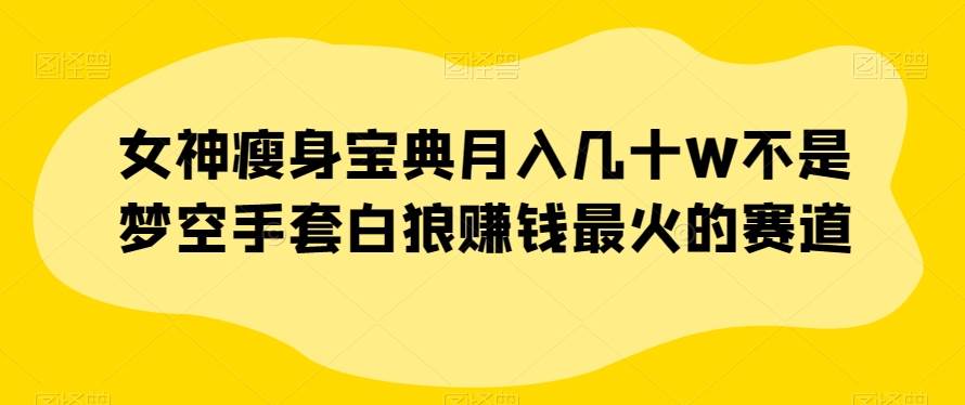 女神瘦身宝典月入几十W不是梦空手套白狼赚钱最火的赛道【揭秘】网赚项目-副业赚钱-互联网创业-独家轻创IP星泽云创