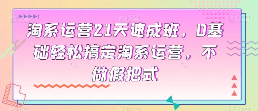 淘系运营21天速成班，0基础轻松搞定淘系运营，不做假把式网赚项目-副业赚钱-互联网创业-独家轻创IP星泽云创
