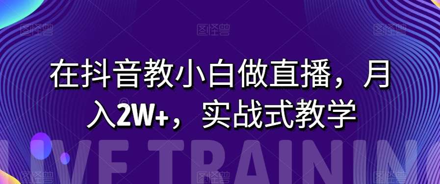 在抖音教小白做直播，月入2W+，实战式教学【揭秘】网赚项目-副业赚钱-互联网创业-独家轻创IP星泽云创