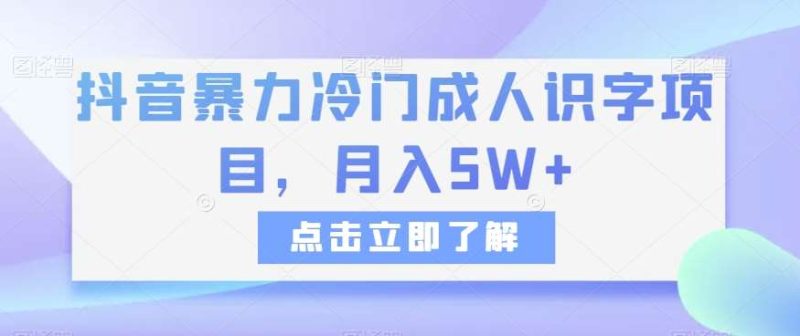 抖音暴力冷门成人识字项目，月入5W+【揭秘】网赚项目-副业赚钱-互联网创业-独家轻创IP星泽云创