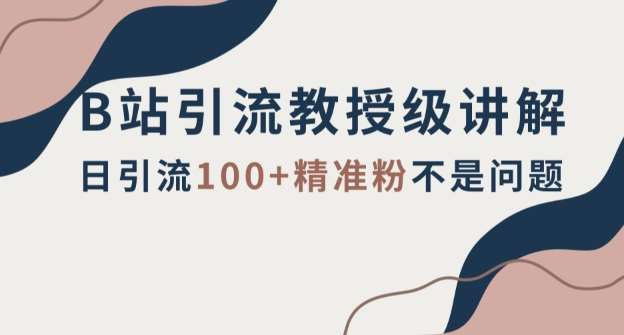 B站引流教授级讲解，细节满满，日引流100+精准粉不是问题【揭秘】网赚项目-副业赚钱-互联网创业-独家轻创IP星泽云创