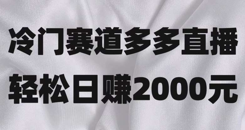 冷门赛道拼多多直播，简单念稿子，日收益2000＋【揭秘】网赚项目-副业赚钱-互联网创业-独家轻创IP星泽云创