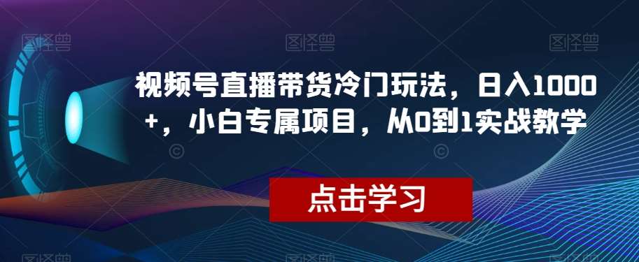 视频号直播带货冷门玩法，日入1000+，小白专属项目，从0到1实战教学【揭秘】网赚项目-副业赚钱-互联网创业-独家轻创IP星泽云创