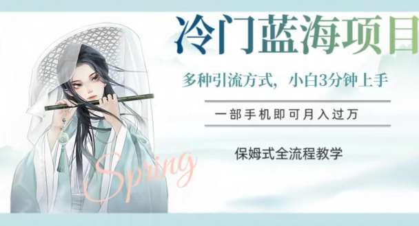 冷门蓝海项目，操作简单，小白3分钟上手，多种引流方式，保姆式全流程教学【揭秘】网赚项目-副业赚钱-互联网创业-独家轻创IP星泽云创
