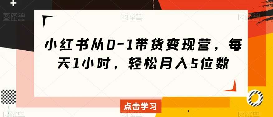 小红书从0-1带货变现营，每天1小时，轻松月入5位数网赚项目-副业赚钱-互联网创业-独家轻创IP星泽云创