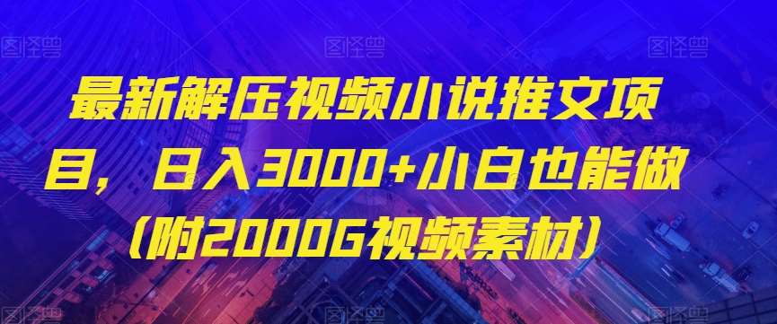 最新解压视频小说推文项目，日入3000+小白也能做（附2000G视频素材）【揭秘】网赚项目-副业赚钱-互联网创业-独家轻创IP星泽云创