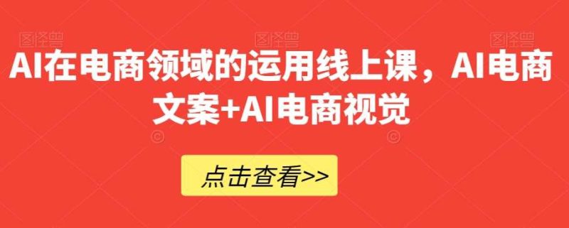 AI在电商领域的运用线上课，​AI电商文案+AI电商视觉网赚项目-副业赚钱-互联网创业-独家轻创IP星泽云创
