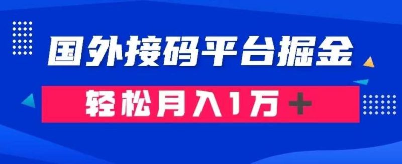 通过国外接码平台掘金：成本1.3，利润10＋，轻松月入1万＋【揭秘】网赚项目-副业赚钱-互联网创业-独家轻创IP星泽云创