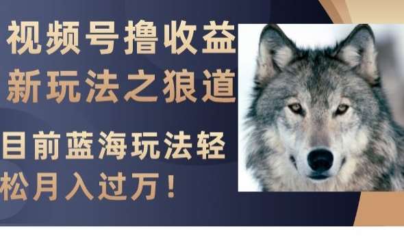 视频号撸收益新玩法之狼道，目前蓝海玩法，轻松月入过万【揭秘】网赚项目-副业赚钱-互联网创业-独家轻创IP星泽云创