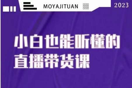 大威本威·能听懂的直播带货课，小白也能听懂，20节完整网赚项目-副业赚钱-互联网创业-独家轻创IP星泽云创