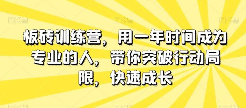 板砖训练营，用一年时间成为专业的人，带你突破行动局限，快速成长网赚项目-副业赚钱-互联网创业-独家轻创IP星泽云创