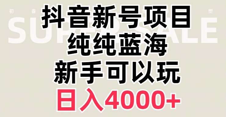 抖音蓝海赛道，必须是新账号，日入4000+【揭秘】网赚项目-副业赚钱-互联网创业-独家轻创IP星泽云创