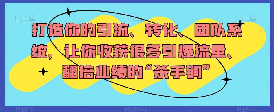 打造你的引流、转化、团队系统，让你收获很多引爆流量、翻倍业绩的“杀手锏”网赚项目-副业赚钱-互联网创业-独家轻创IP星泽云创