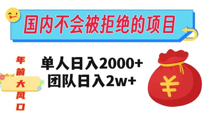 在国内不怕被拒绝的项目，单人日入2000，团队日入20000+【揭秘】网赚项目-副业赚钱-互联网创业-独家轻创IP星泽云创