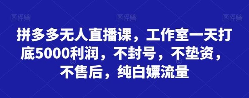 拼多多无人直播课,工作室一天打底5000利润,不封号,不垫资,不售后,纯白嫖流量网赚项目-副业赚钱-互联网创业-独家轻创IP星泽云创