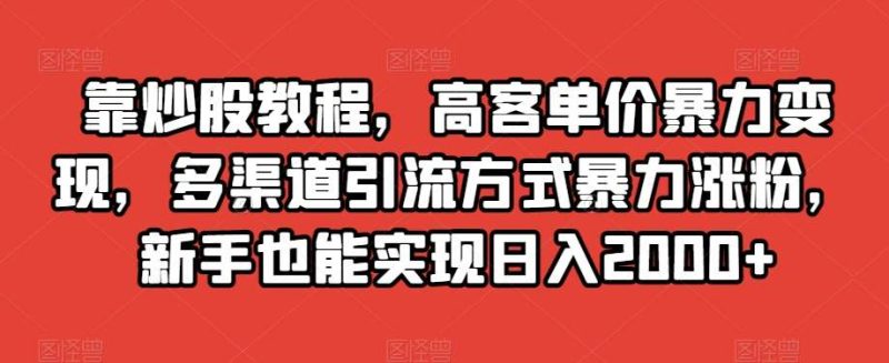 靠炒股教程，高客单价暴力变现，多渠道引流方式暴力涨粉，新手也能实现日入2000+【揭秘】网赚项目-副业赚钱-互联网创业-独家轻创IP星泽云创