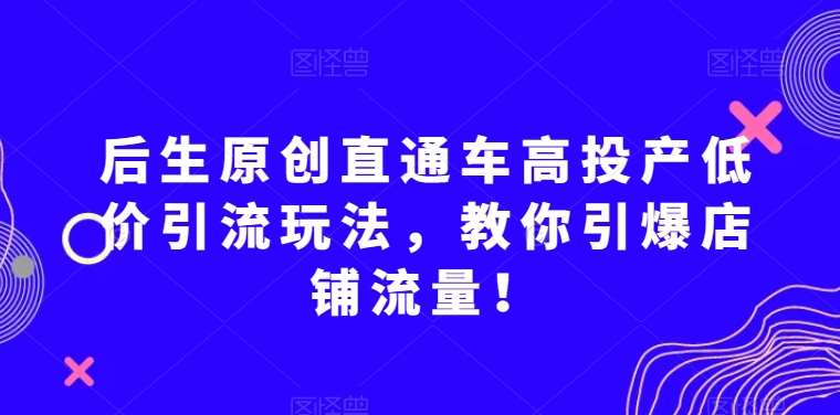 后生原创直通车高投产低价引流玩法，教你引爆店铺流量！网赚项目-副业赚钱-互联网创业-独家轻创IP星泽云创