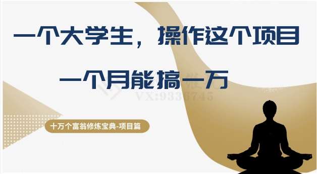 十万个富翁修炼宝典之4.一个大学生操作这个项目，一个月能搞一万网赚项目-副业赚钱-互联网创业-独家轻创IP星泽云创