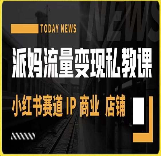 派妈流量变现私教课，小红书赛道IP  商业  店铺网赚项目-副业赚钱-互联网创业-独家轻创IP星泽云创