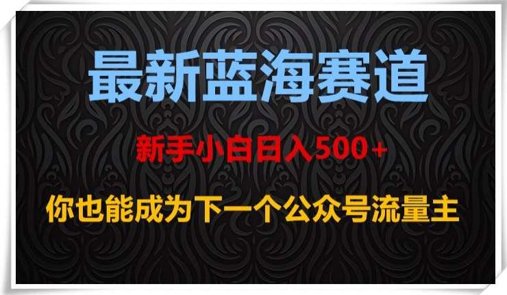 最新蓝海赛道，新手小白日入500+，你也能成为下一个公众号流量主【揭秘】网赚项目-副业赚钱-互联网创业-独家轻创IP星泽云创