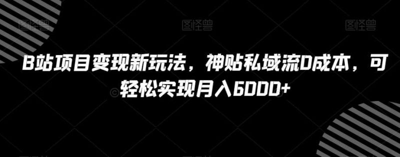 B站项目变现新玩法，神贴私域流0成本，可轻松实现月入6000+【揭秘】网赚项目-副业赚钱-互联网创业-独家轻创IP星泽云创
