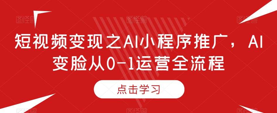 短视频变现之AI小程序推广，AI变脸从0-1运营全流程网赚项目-副业赚钱-互联网创业-独家轻创IP星泽云创