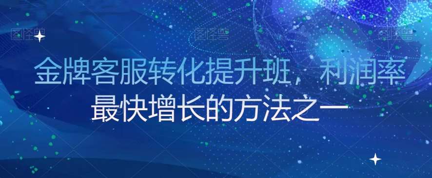金牌客服转化提升班，利润率最快增长的方法之一网赚项目-副业赚钱-互联网创业-独家轻创IP星泽云创