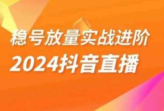 稳号放量实战进阶—2024抖音直播，直播间精细化运营的几大步骤网赚项目-副业赚钱-互联网创业-独家轻创IP星泽云创