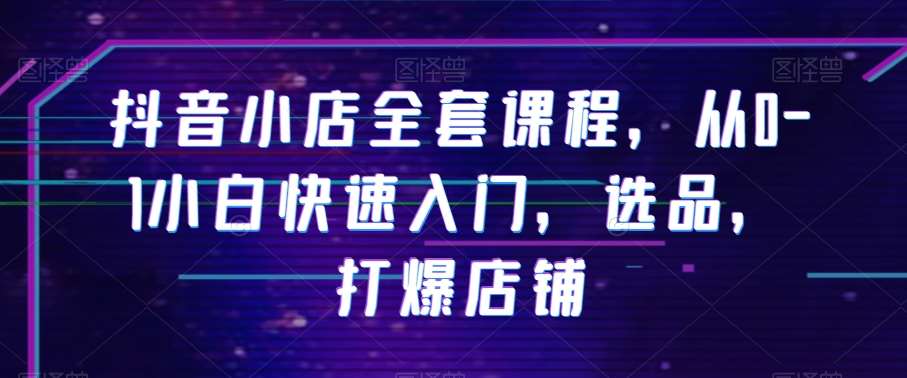 抖音小店全套课程，从0-1小白快速入门，选品，打爆店铺网赚项目-副业赚钱-互联网创业-独家轻创IP星泽云创