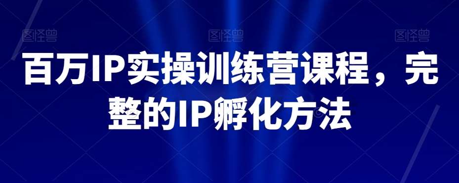 百万IP实操训练营课程，完整的IP孵化方法网赚项目-副业赚钱-互联网创业-独家轻创IP星泽云创
