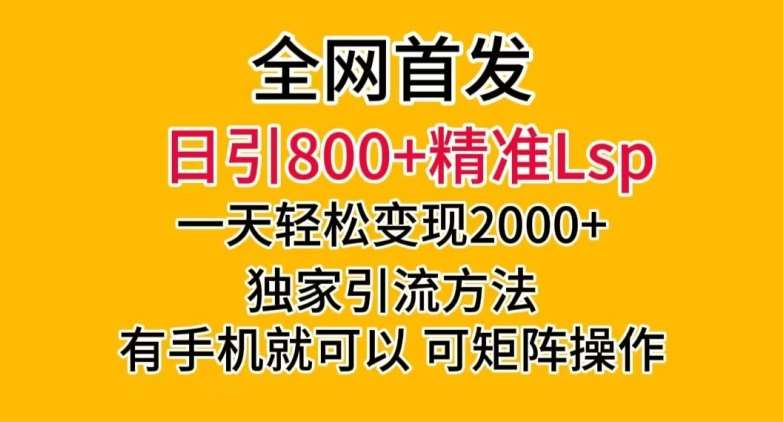 全网首发！日引800+精准老色批，一天变现2000+，独家引流方法，可矩阵操作【揭秘】网赚项目-副业赚钱-互联网创业-独家轻创IP星泽云创