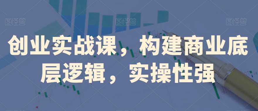 创业实战课，​构建商业底层逻辑，实操性强网赚项目-副业赚钱-互联网创业-独家轻创IP星泽云创