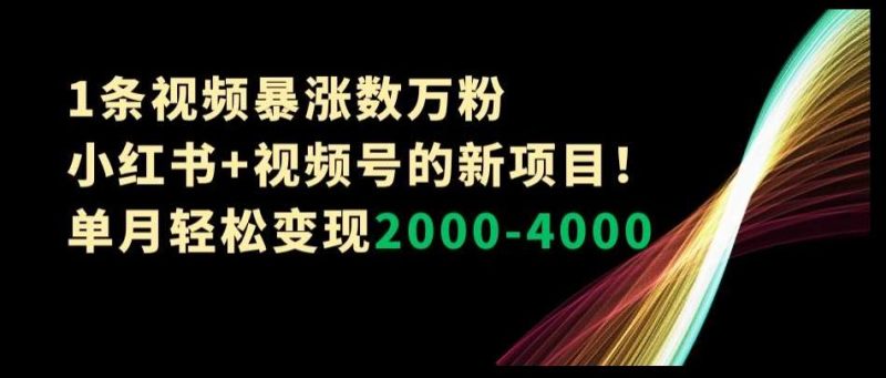 1条视频暴涨数万粉–小红书+视频号的新项目！单月轻松变现2000-4000【揭秘】网赚项目-副业赚钱-互联网创业-独家轻创IP星泽云创