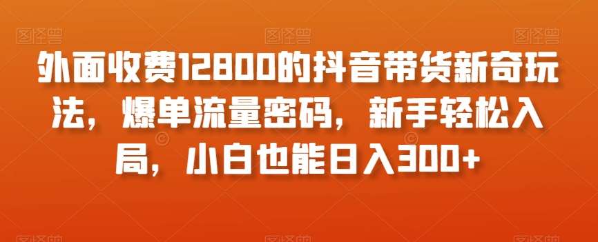 外面收费12800的抖音带货新奇玩法，爆单流量密码，新手轻松入局，小白也能日入300+【揭秘】网赚项目-副业赚钱-互联网创业-独家轻创IP星泽云创