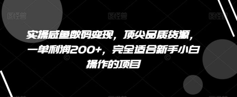 实操咸鱼数码变现，顶尖品质货源，一单利润200+，完全适合新手小白操作的项目【揭秘】网赚项目-副业赚钱-互联网创业-独家轻创IP星泽云创