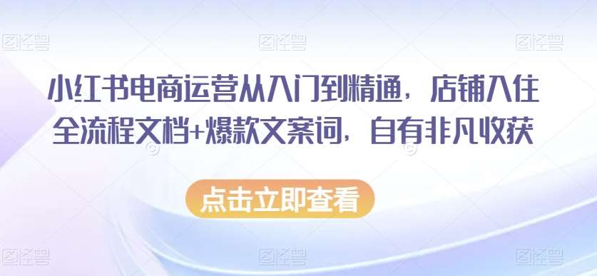 小红书电商运营从入门到精通，店铺入住全流程文档+爆款文案词，自有非凡收获网赚项目-副业赚钱-互联网创业-独家轻创IP星泽云创