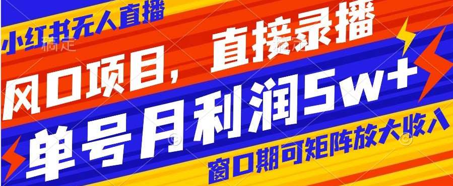 风口项目，小红书无人直播带货，直接录播，可矩阵，月入5w+【揭秘】网赚项目-副业赚钱-互联网创业-独家轻创IP星泽云创